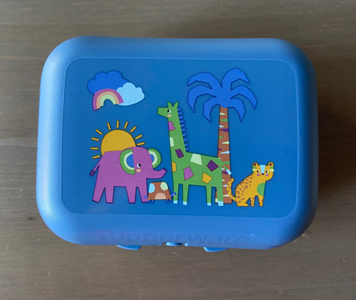 Caixa Ostra médias - várias cores