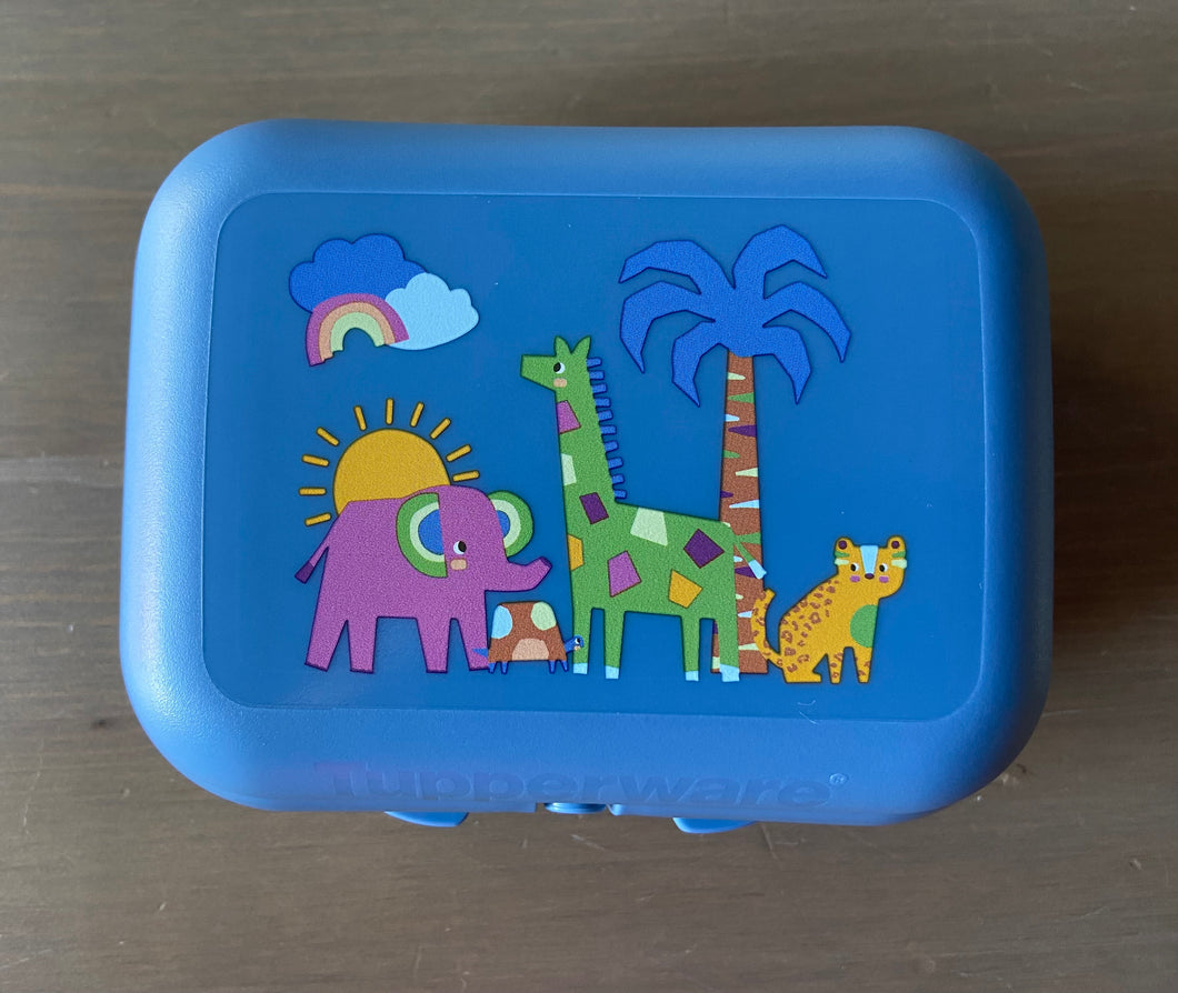 Caixa Ostra médias - várias cores