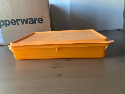 Caixa rectangular para guardar alimentos no frigorífico
