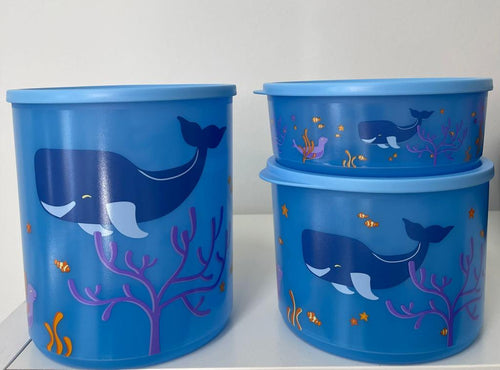 Conjunto caixas redondas maxi 950ml + 2,1L + 3,3L
