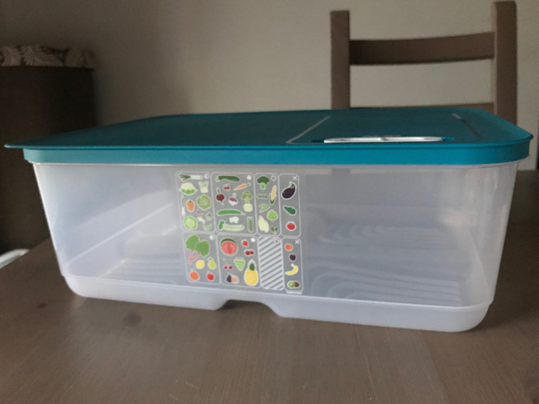 Caixa VentSmart 9,9L - para vegetais