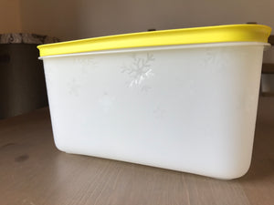 Caixa de congelação 2,5L