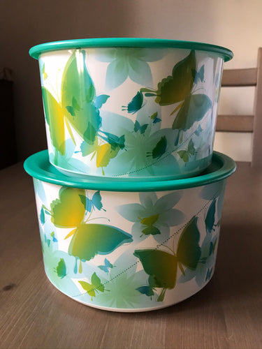 Caixas pimpinelas primavera 1,4L + 2L