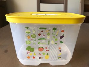 Caixa VentSmart 1,8L - Conservação de frutas e legumes frescos